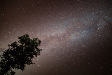 Night sky of milky way with tree located north of thailand