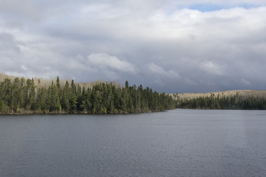 Lake panorama with autumn forest