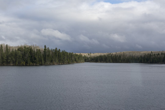 Panorama of lake with forest on bank