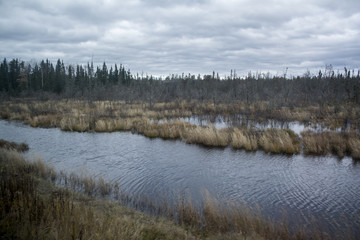 Autumn landscape with bare trees and river