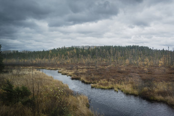Fototapeta premium Autumn view on riverbanks with forest in the back