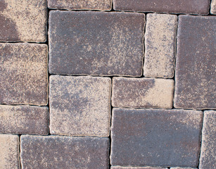 Brick with rich detail and multi-colored for background, Horizontal Vertical 