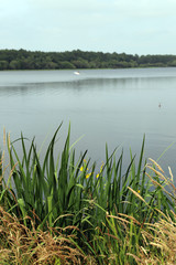 Lac Mimizan Landes