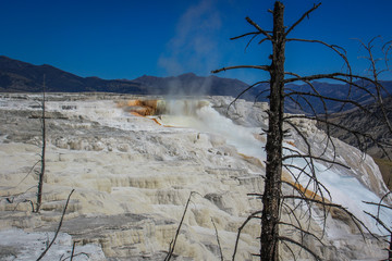 Mammoth Hot Springs, Minerva Terrace in Yellowstone National Park, Wyoming