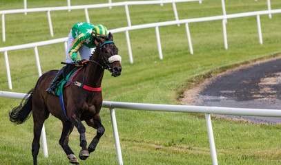 Single race horse and jockey racing on the track