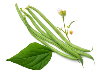 Green Beans Isolated on White Background