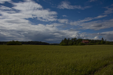 Midsummer landscape at Lov&ouml; in Stockholm