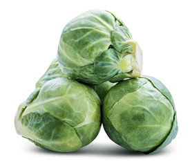 Fototapeta premium Brussels sprouts isolated on white background. Clipping path