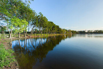 landscape view of lake at sunset timing with tree located Bangkok Thailand  