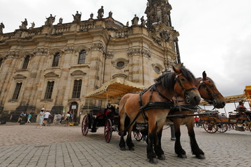 Kutschfarht in Dresden