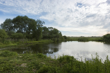 A picturesque pond with overgrown green banks and clouds in the blue sky. Sunny summer morning.