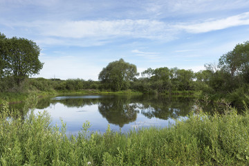 A picturesque pond with overgrown green banks and clouds in the blue sky. Sunny summer morning.