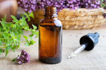 Fototapeta na wymiar A bottle of oregano essential oil with fresh blooming oregano