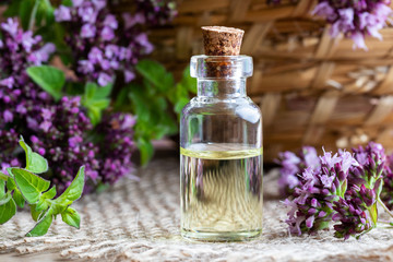 A bottle of oregano essential oil with fresh blooming oregano
