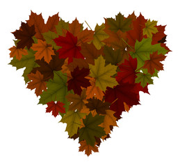 Heart of colorful maple leaves