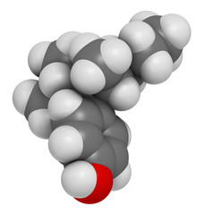 Nonylphenol endocrine disruptor molecule (one isomer shown). 3D rendering. Atoms are represented as spheres with conventional color coding: hydrogen (white), carbon (grey), oxygen (red).