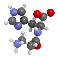 Carnosine (L-carnosine) food supplement molecule. 3D rendering. Atoms are represented as spheres with conventional color coding: hydrogen (white), carbon (grey), oxygen (red), nitrogen (blue).