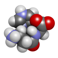 Carnosine (L-carnosine) food supplement molecule. 3D rendering. Atoms are represented as spheres with conventional color coding: hydrogen (white), carbon (grey), oxygen (red), nitrogen (blue).