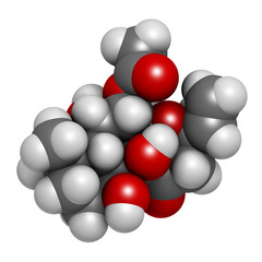 Forskolin (coleonol) molecule. Activates the enzyme adenylyl cyclase, resulting in increased levels of cAMP. 3D rendering. Atoms are represented as spheres with conventional color.