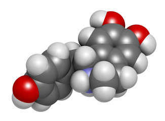 Higenamine herbal molecule. Present in some fat burner food supplements. 3D rendering. Atoms are represented as spheres with conventional color coding: hydrogen (white), carbon (grey), etc