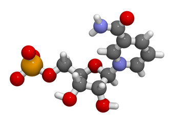 Nicotinamide mononucleotide molecule. Precursor of NAD+. 3D rendering. Atoms are represented as spheres with conventional color coding: hydrogen (white), etc