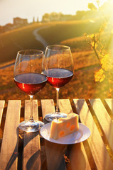 Wine against vineyards in Lavaux, Switzerland