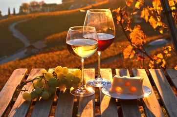 Vin contre vignes à Lavaux, Suisse