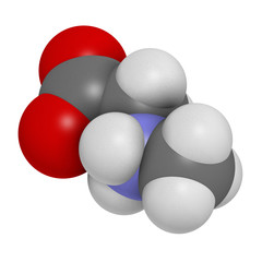 Sarcosine (N-methylglycine) molecule. 3D rendering. Atoms are represented as spheres with conventional color coding: hydrogen (white), carbon (grey), oxygen (red), nitrogen (blue).