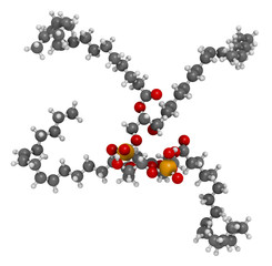 Cardiolipin (tetralinoleoyl cardiolipin) molecule. Important component of the inner membrane of mitochondria. 3D rendering. Atoms are represented as spheres with conventional color.