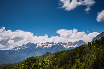 Fototapeta na wymiar Mountain forest in clouds landscape.