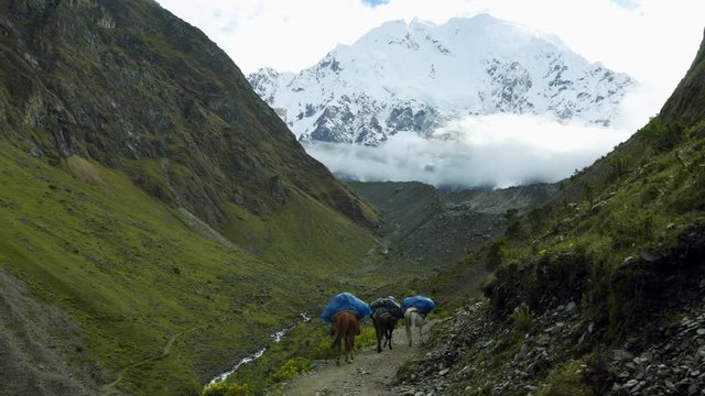 Salkantay Trekking in the Mountains the road to Machu Pichu