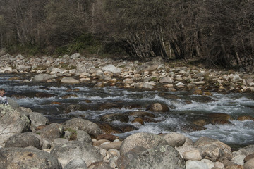 Obraz na płótnie Canvas River with many stones