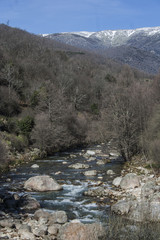 River with many stones, Gredos