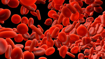 Red blood cells