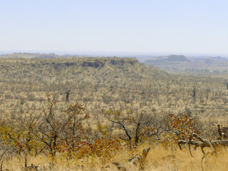 Landscape in Mapungubwe National Park