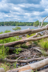 Fototapeta na wymiar Sebago Lake State Park, Maine