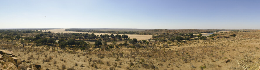 Obraz premium Limpopo river crossing the desert landscape of Mapungubwe National Park, travel destination in South Africa. Braided Acacia and huge Baobab trees with red sandstone cliffs