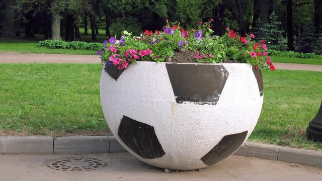 Flower bed with football shape