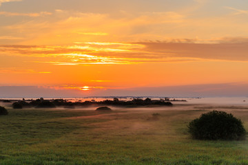 Sunrise - Colorful foggy landscape with meadows, trees, grass at dawn