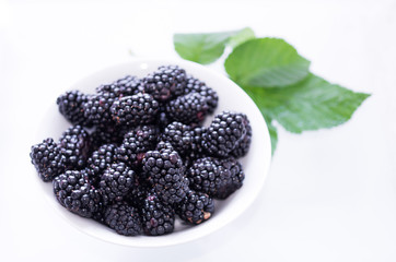 White plate and black berries. Green leaf. Copyspace.