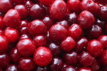 Red ripe delicious cherries background