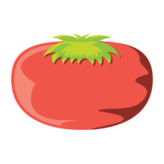 tomato vegetable icon over white background, vector illustration