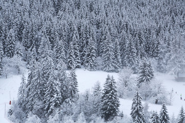 Alps in winter