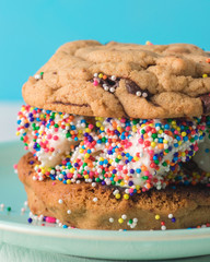 Ice Cream Sandwich with Homemade Cookies