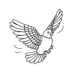 Pigeon cartoon illustration isolated on white background for children color book