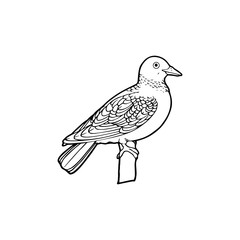 Pigeon cartoon illustration isolated on white background for children color book