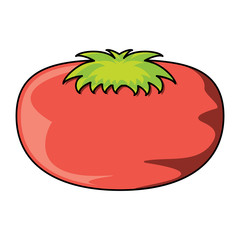 tomato vegetable icon over white background, vector illustration