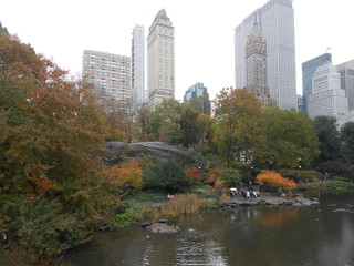 NYC Central Park