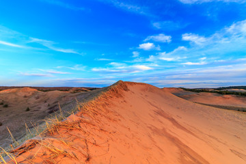 Naklejka premium Beautiful sand dunes