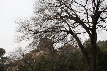 monastery up in the mountain during spring surround with pollution 